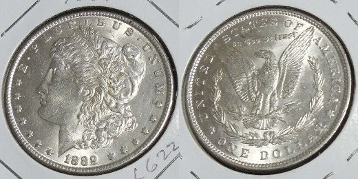 Your-Grading-Thoughts-On-This-1889-Morgan-Dollar